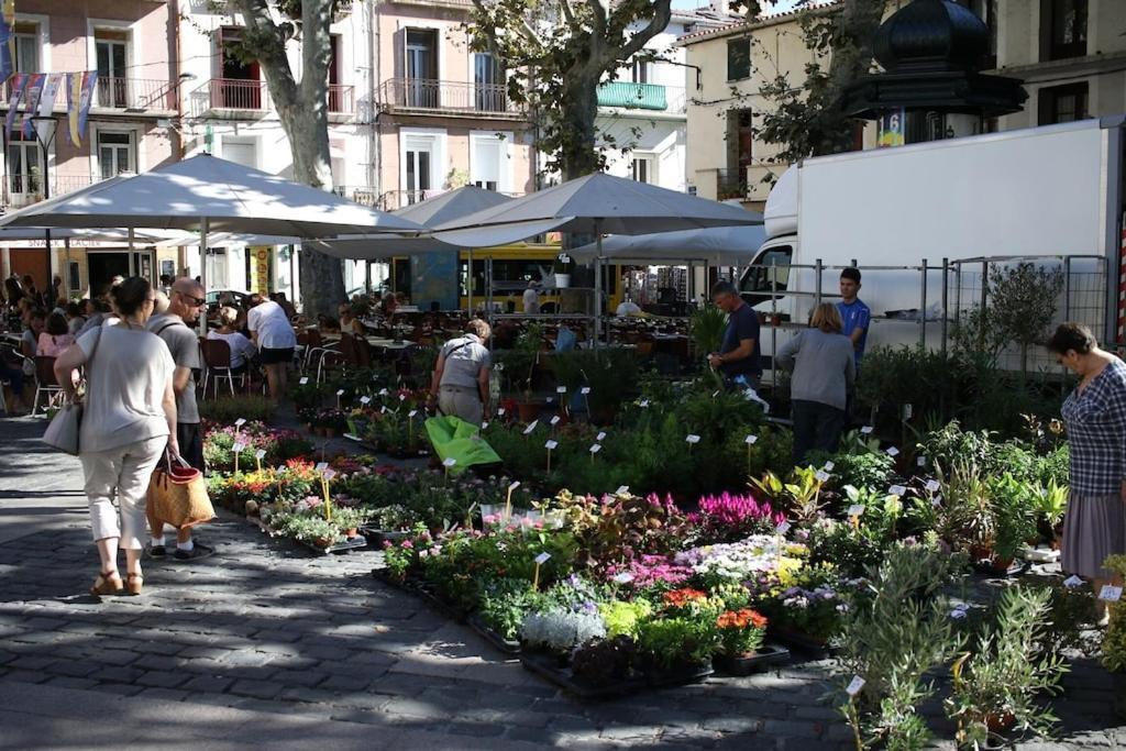 Appartement Hidden Gem Ancré Au Cœur De Sète&Vue Sur Mont St Clair Extérieur photo
